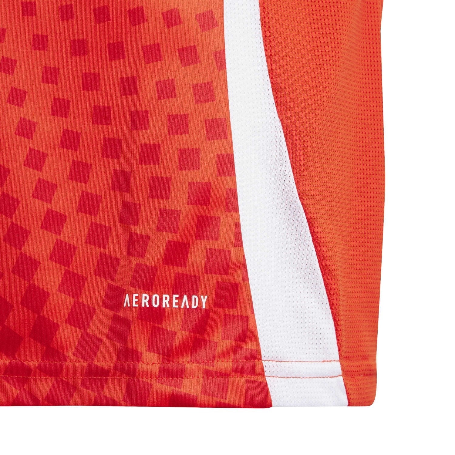 Chile 2024 Home Jersey - Youth